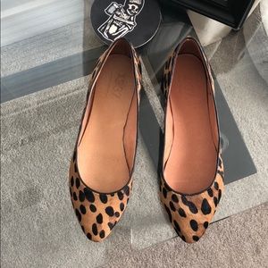 Cheetah flats